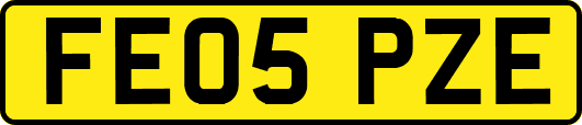 FE05PZE
