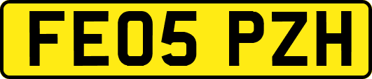 FE05PZH