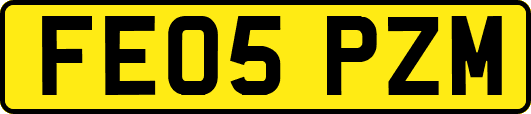 FE05PZM