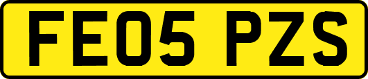 FE05PZS