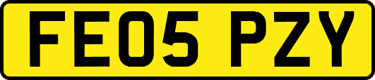 FE05PZY