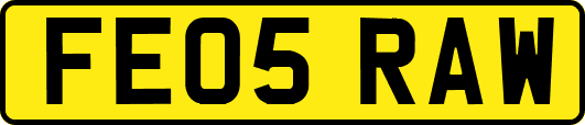 FE05RAW