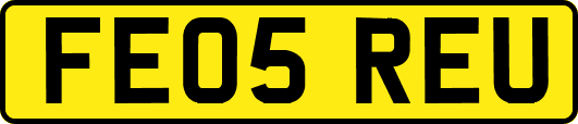 FE05REU