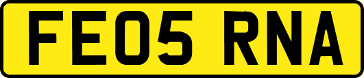 FE05RNA