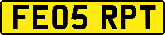 FE05RPT