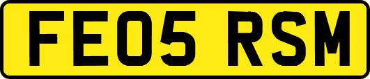 FE05RSM