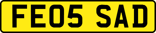 FE05SAD