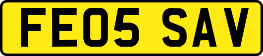 FE05SAV
