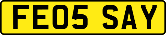 FE05SAY