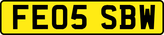 FE05SBW