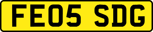 FE05SDG