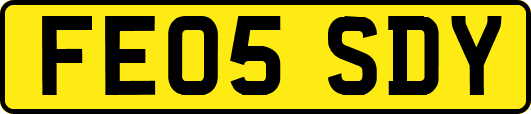 FE05SDY