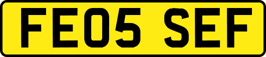 FE05SEF