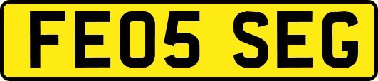 FE05SEG