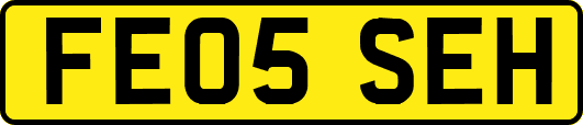 FE05SEH