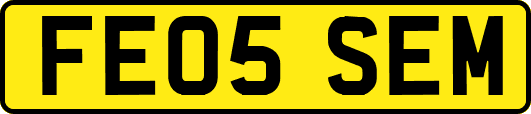 FE05SEM