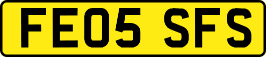 FE05SFS