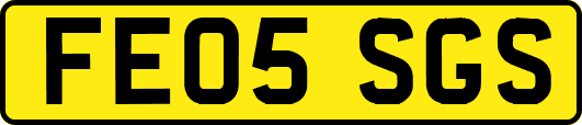 FE05SGS