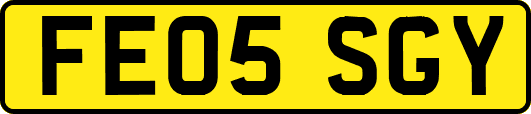 FE05SGY