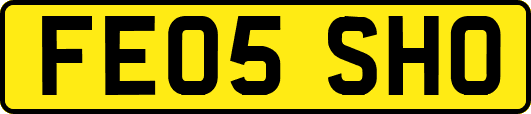 FE05SHO