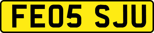 FE05SJU