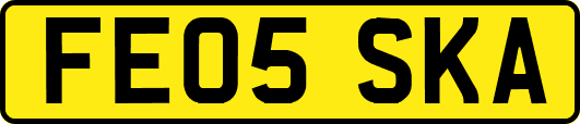 FE05SKA