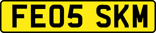 FE05SKM