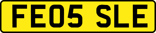 FE05SLE