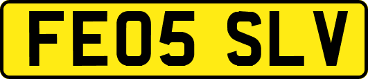 FE05SLV