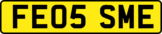 FE05SME