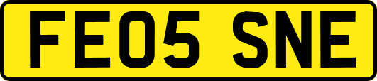 FE05SNE