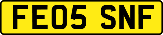 FE05SNF