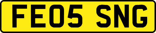 FE05SNG