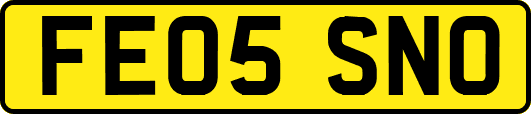 FE05SNO
