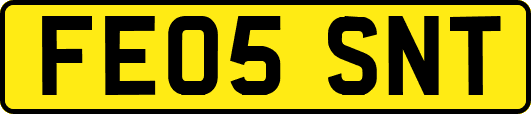 FE05SNT