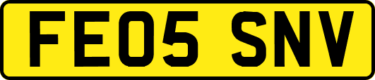 FE05SNV