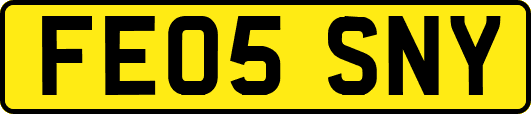 FE05SNY