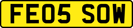 FE05SOW