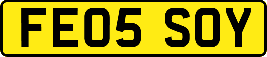 FE05SOY