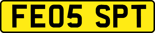 FE05SPT