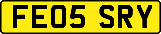 FE05SRY