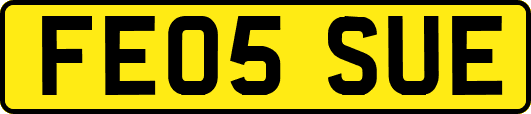 FE05SUE