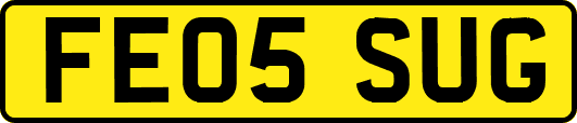 FE05SUG