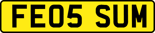 FE05SUM