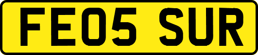FE05SUR