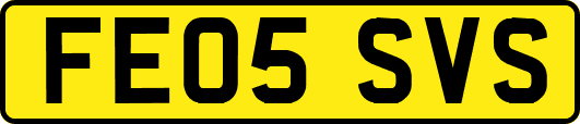 FE05SVS