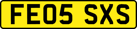 FE05SXS