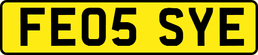 FE05SYE