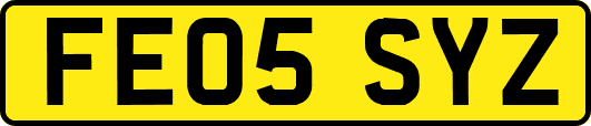 FE05SYZ