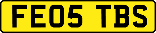 FE05TBS